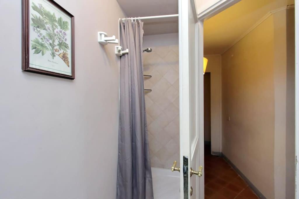Navona Elegant Two Bedroom Apartment 罗马 外观 照片